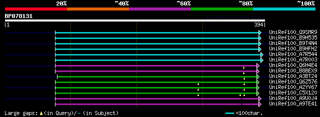 alignment