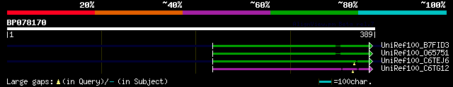 alignment