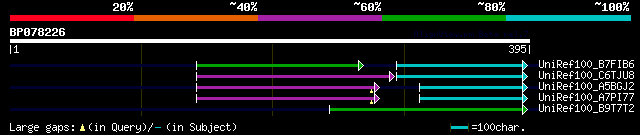 alignment