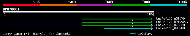 alignment