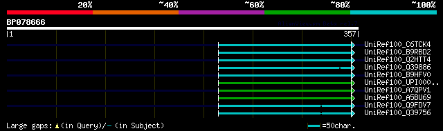 alignment