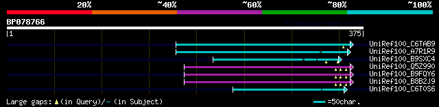 alignment