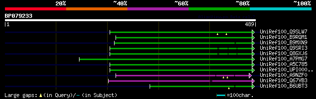 alignment