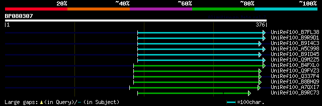 alignment