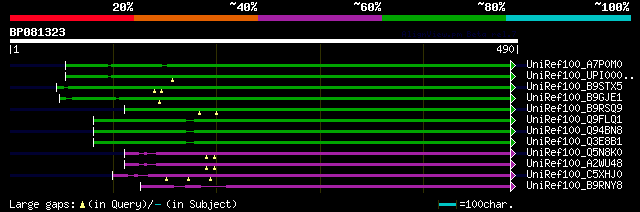 alignment