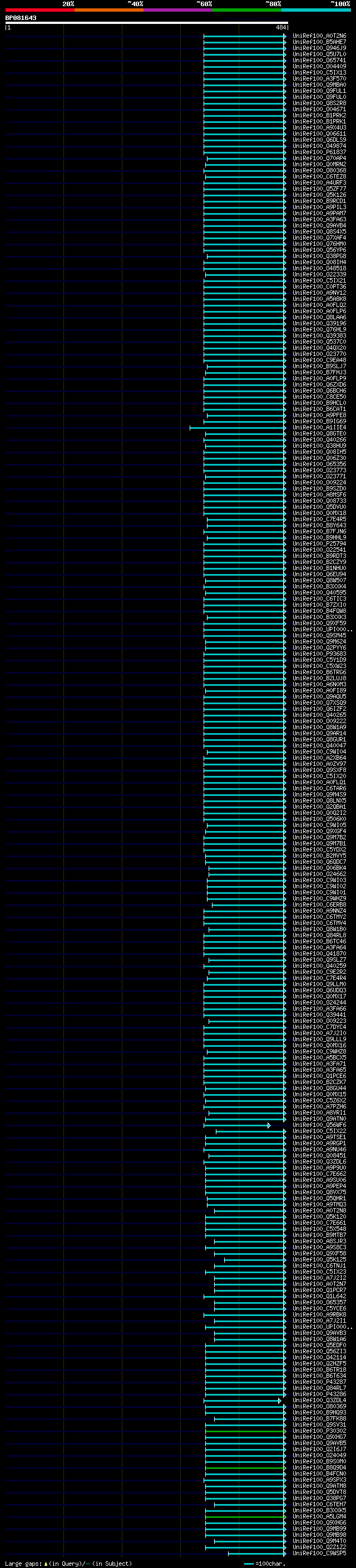 alignment