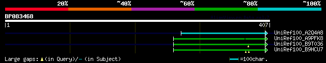 alignment