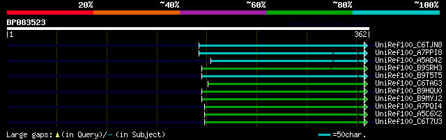 alignment