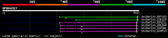 alignment