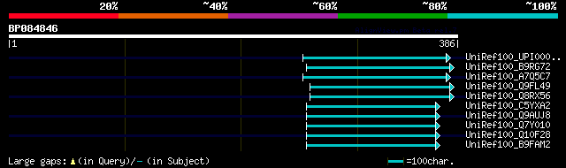 alignment