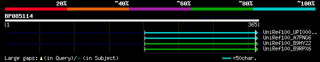 alignment