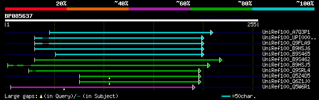 alignment