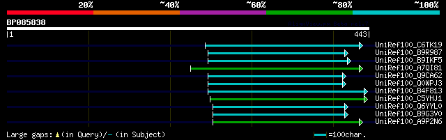 alignment