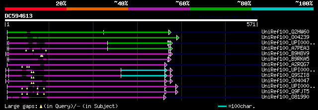 alignment