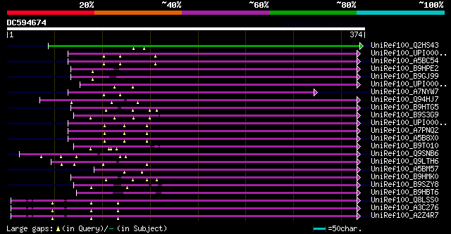 alignment