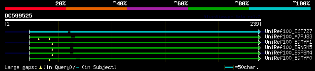 alignment