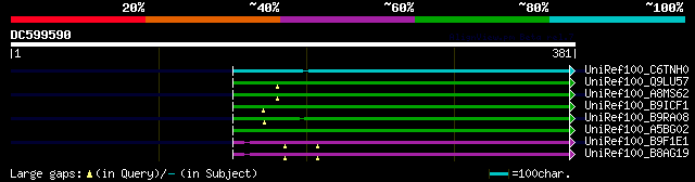 alignment